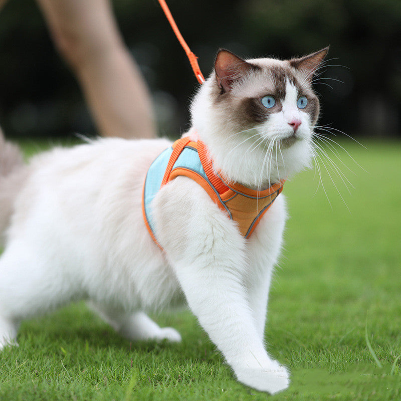 Anti Escape Reflective Pet Harness And Leash Set