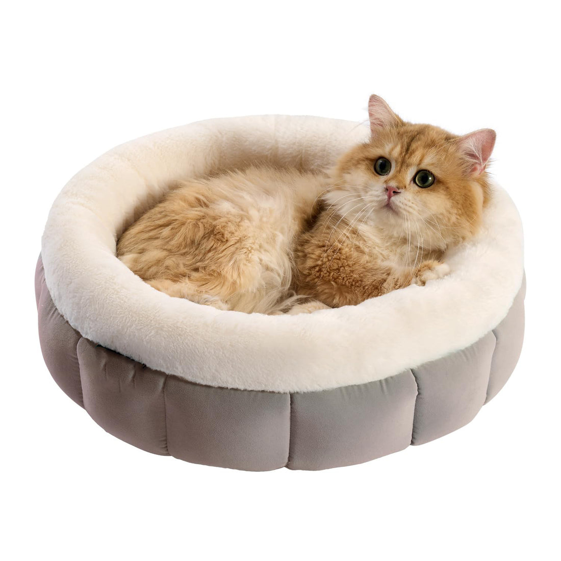 Donut Style Washable Round Pet Bed With Anti Slip Bottom