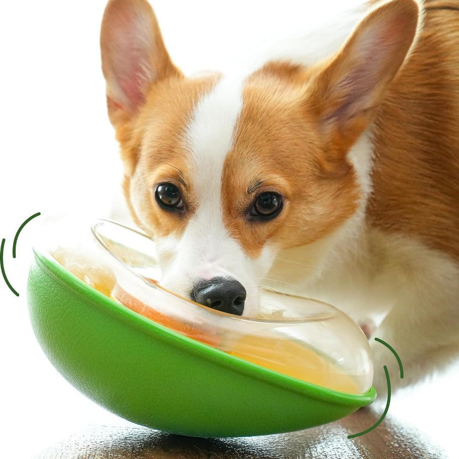 Pet Avocado Anti-Tumble Feeding Bowl