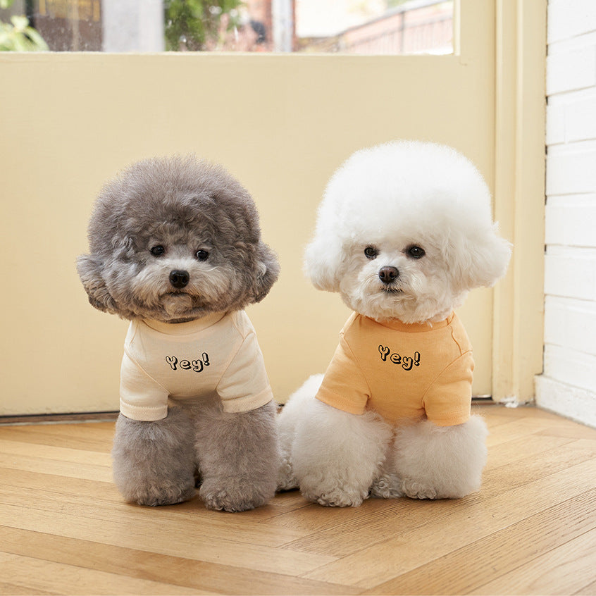Pet Korean Style Cotton Short Sleeve Printed T Shirt