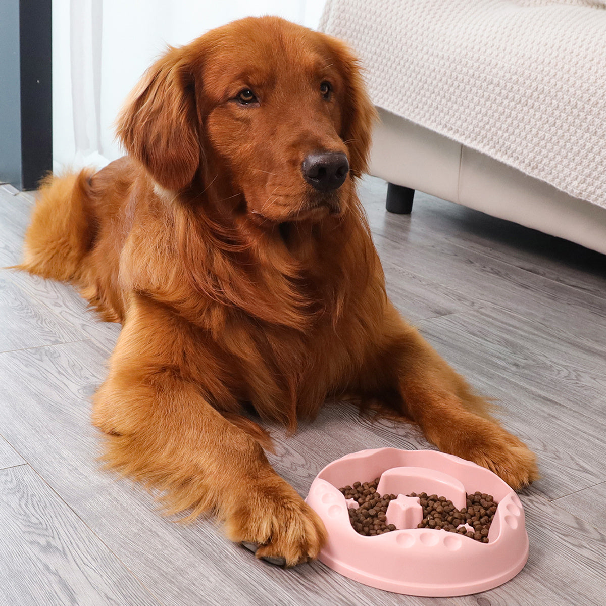 Pet Moon Star Slow Feeding Large Capacity Bowl