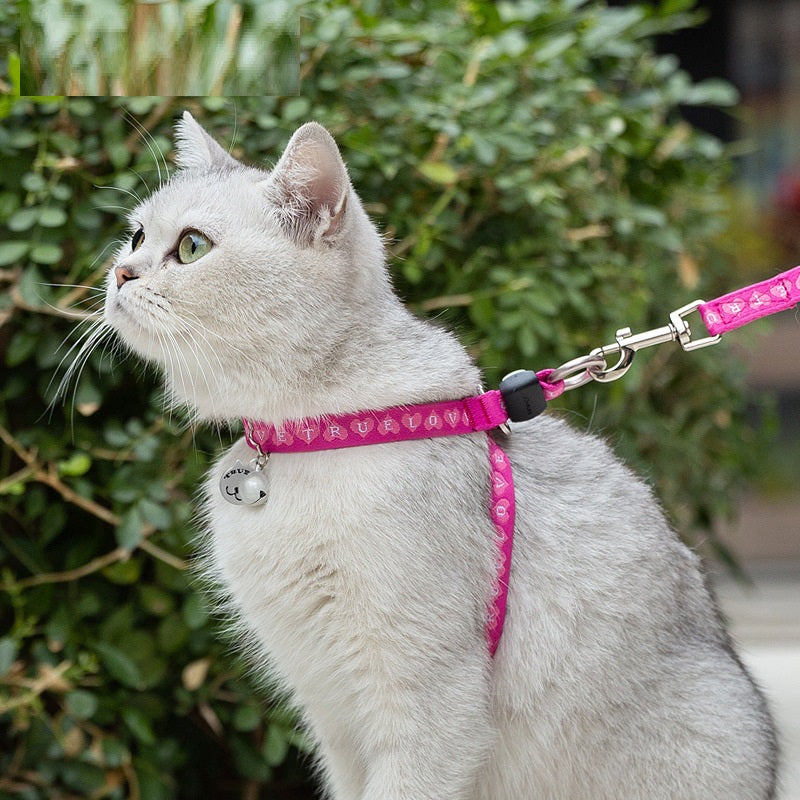 Pet Chest Harness Bell Vest Leash Walking Control Strap