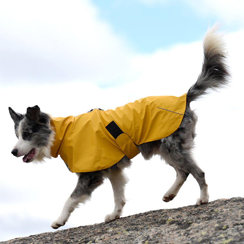 Pet Shell Jacket Waterproof Windproof Raincoat For Pet Outdoor Wear